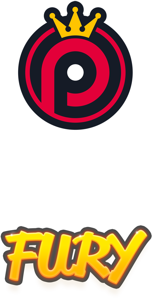 ping pong fury